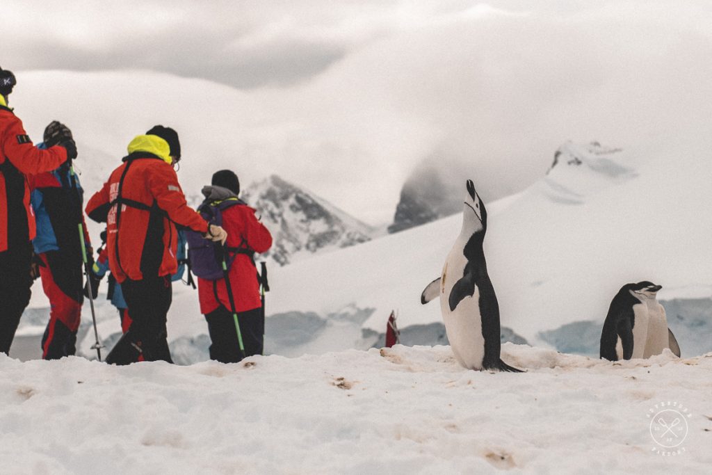 Photography guide for Antarctica