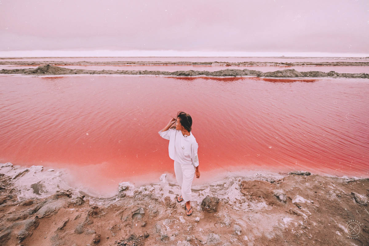 Pink Salt Flats of Namibia