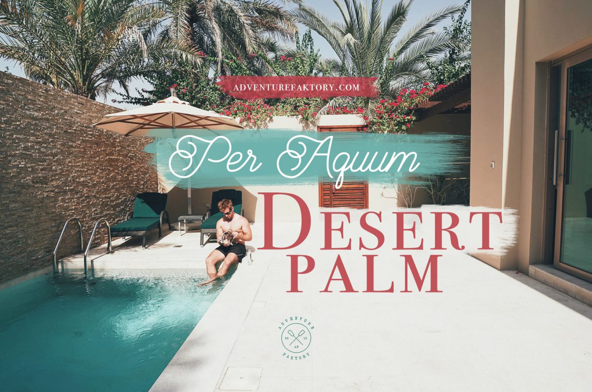 AdventureFaktory x Per Aquum Desert Palm