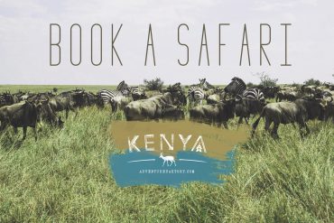 How to Book a Safari in Kenya