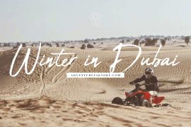 Things to do in Dubai during Winter